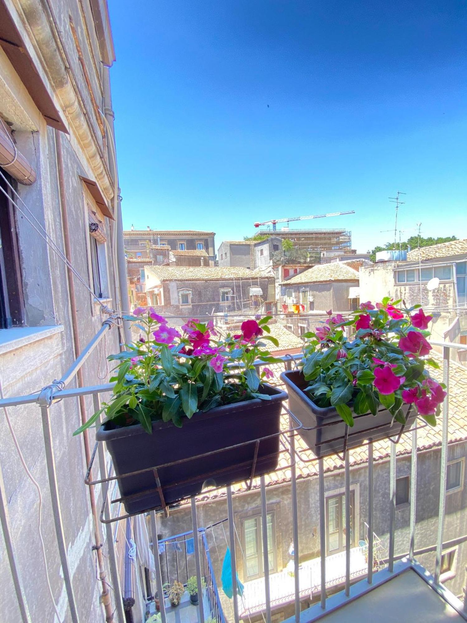 Dimora Dei Minoriti Bed & Breakfast Catania Ngoại thất bức ảnh